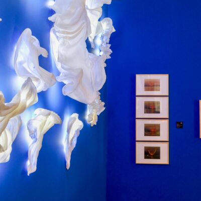 Série Branqueamento dos Corais, 2022, esculturas de polipropileno reciclado e retroiluminado com led